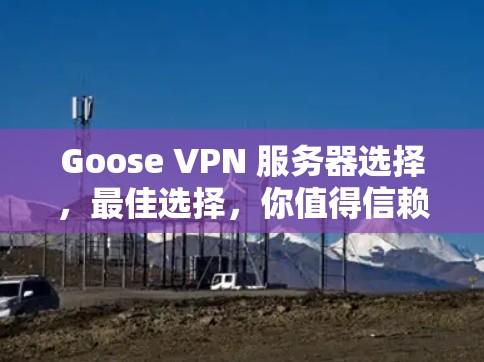 Goose VPN 服务器选择，最佳选择，你值得信赖！