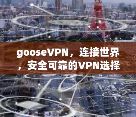 gooseVPN，连接世界，安全可靠的VPN选择