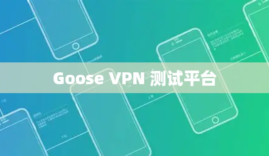 Goose VPN 测试平台