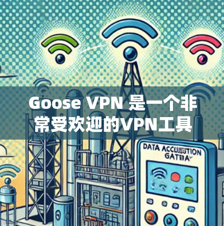 Goose VPN 是一个非常受欢迎的VPN工具，它支持多设备和多种协议，适合多元化的用户。以下是几个热门VPN软件的比较，供您参考