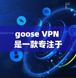 goose VPN 是一款专注于网络VPN的软件，专为用户提供安全、高效的网络连接体验。以下是对 goose VPN 体验的分享