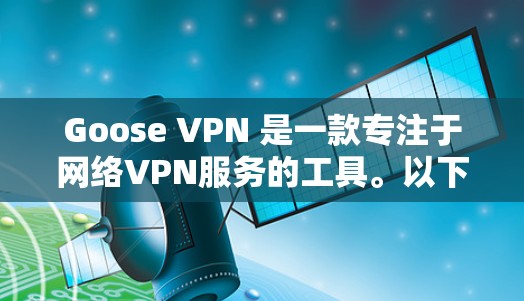 Goose VPN 是一款专注于网络VPN服务的工具。以下是配置 Goose VPN 的步骤