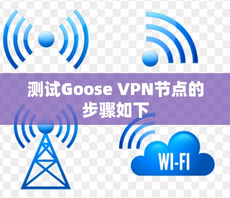 测试Goose VPN节点的步骤如下