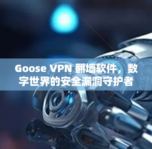 Goose VPN 翻墙软件，数字世界的安全漏洞守护者