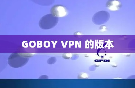 GOBOY VPN 的版本
