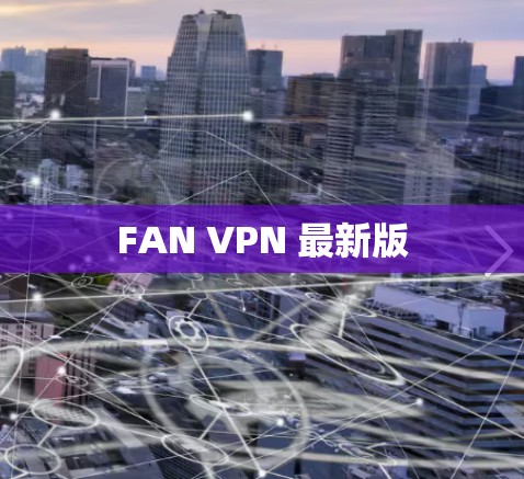 FAN VPN 最新版