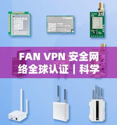 FAN VPN 安全网络全球认证｜科学上网海外访问体验解析