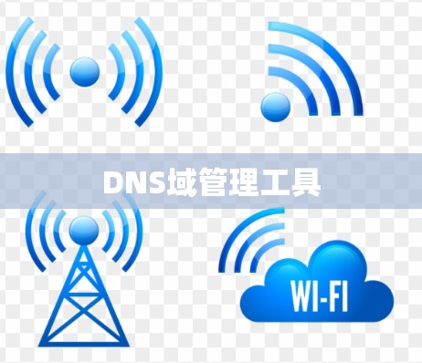 DNS域管理工具