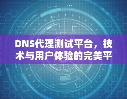 DNS代理测试平台，技术与用户体验的完美平衡