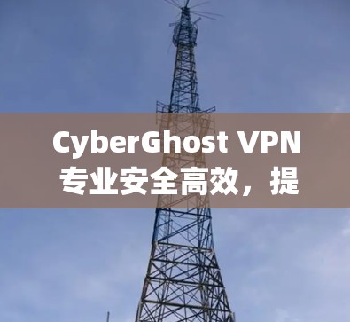 CyberGhost VPN 专业安全高效，提供最新功能与服务