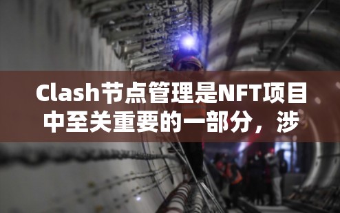 Clash节点管理是NFT项目中至关重要的一部分，涉及节点间的连接、资源分配、智能合约管理等多个方面。以下是一些具体的节点管理技巧