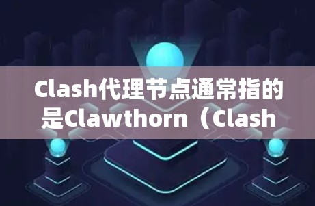 Clash代理节点通常指的是Clawthorn（Clash of Clans）游戏中的代理系统中的一个节点，用于管理代理配置、配置游戏资源、管理代理节点之间的关系等。具体功能可能包括