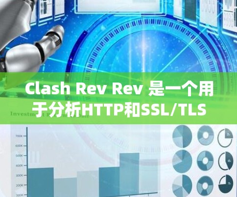 Clash Rev Rev 是一个用于分析HTTP和SSL/TLS协议漏洞的网络攻击者工具，旨在帮助防御系统识别和应对攻击者。以下是其详细的功能和使用指南