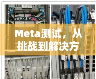 Meta测试,从挑战到解决方案 Meta测试,从挑战到解决方案