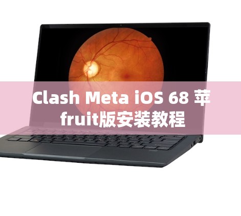 Clash Meta iOS 68 苹 fruit版安装教程