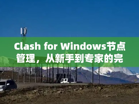 Clash for Windows节点管理，从新手到专家的完整指南