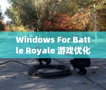 Windows For Battle Royale 游戏优化