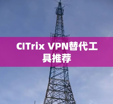 CITrix VPN替代工具推荐