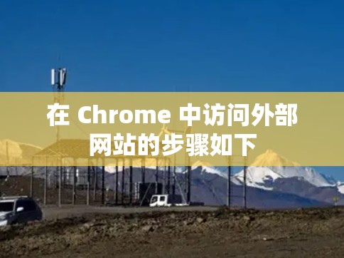 在 Chrome 中访问外部网站的步骤如下