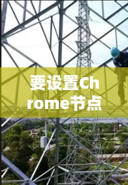 要设置Chrome节点，步骤如下