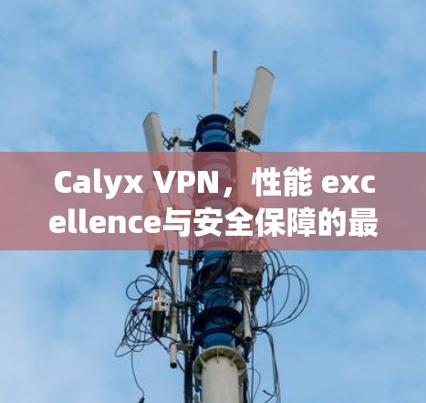 Calyx VPN，性能 excellence与安全保障的最新解决方案