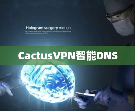 CactusVPN智能DNS