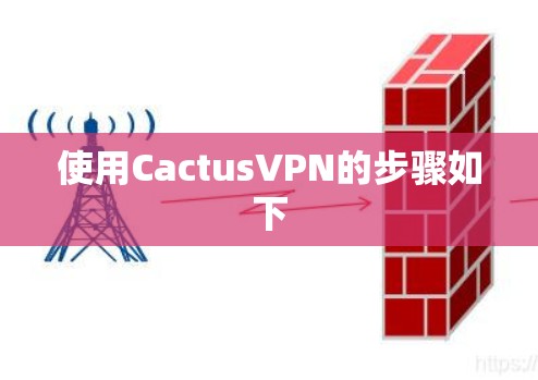 使用CactusVPN的步骤如下