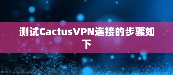 测试CactusVPN连接的步骤如下
