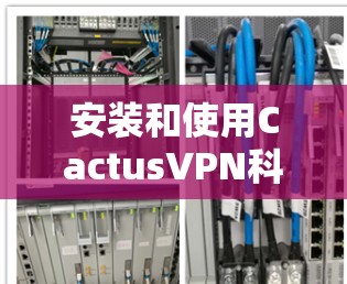 安装和使用CactusVPN科学上网连接的步骤如下