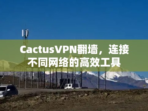 CactusVPN翻墙，连接不同网络的高效工具