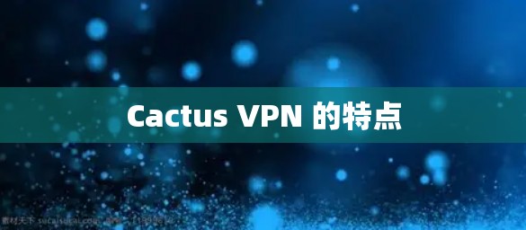 Cactus VPN 的特点