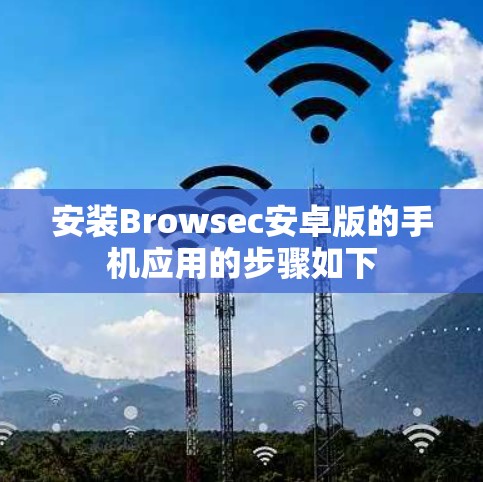 安装Browsec安卓版的手机应用的步骤如下