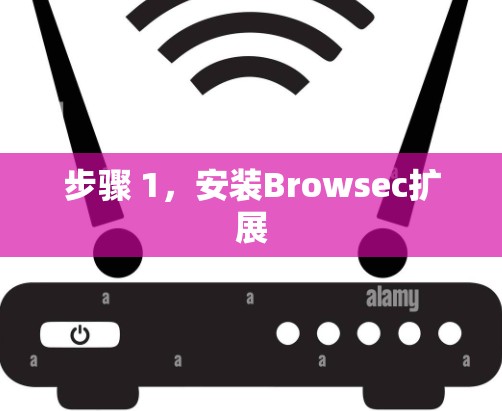 步骤 1，安装Browsec扩展