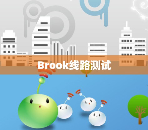 Brook线路测试