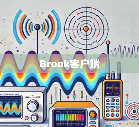 Brook客户端