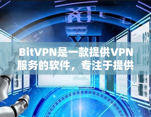 BitVPN是一款提供VPN服务的软件，专注于提供安全、可靠的VPN连接。以下是一份BitVPN的使用指南，帮助你更好地使用该服务