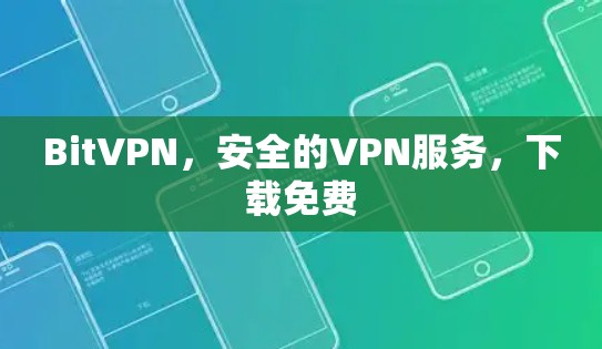 BitVPN，安全的VPN服务，下载免费