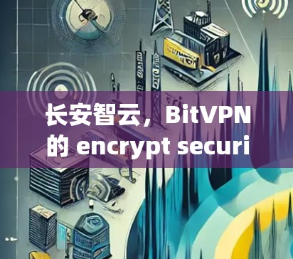 长安智云，BitVPN的 encrypt security