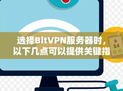 选择BitVPN服务器时，以下几点可以提供关键指导