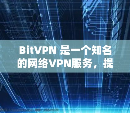BitVPN 是一个知名的网络VPN服务，提供多种VPN选项。由于 BitVPN 不直接提供安卓版本，但您可以通过以下方式获取其安卓版软件