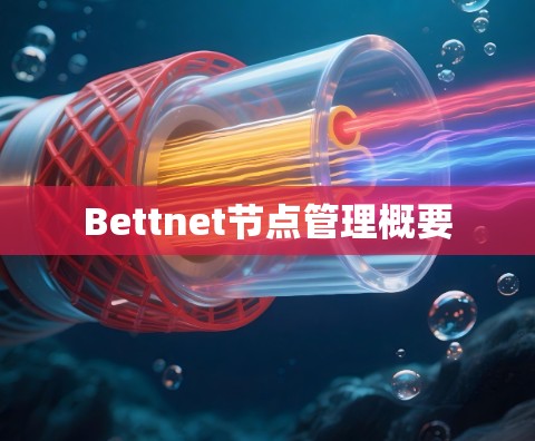 Bettnet节点管理概要