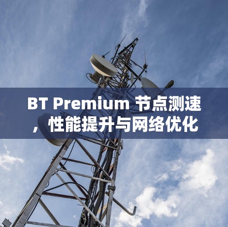 BT Premium 节点测速，性能提升与网络优化探索