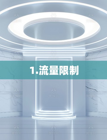 1.流量限制