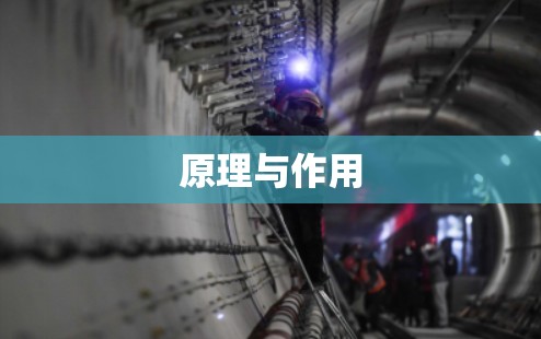 原理与作用