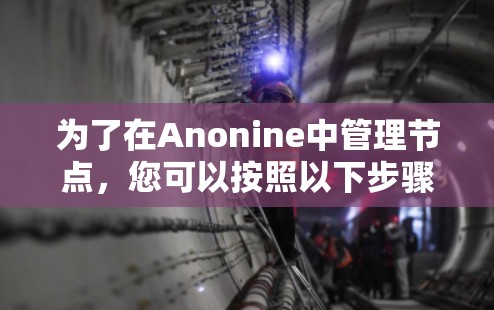 为了在Anonine中管理节点，您可以按照以下步骤进行