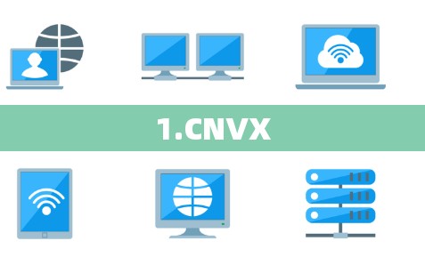 1.CNVX