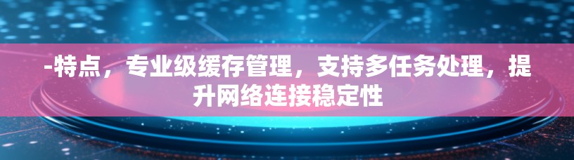-特点，专业级缓存管理，支持多任务处理，提升网络连接稳定性