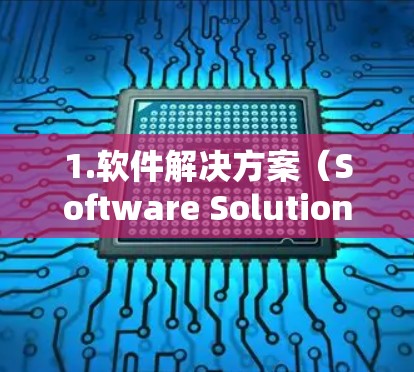 1.软件解决方案（Software Solutions）