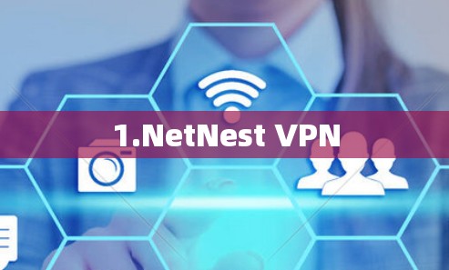 1.NetNest VPN