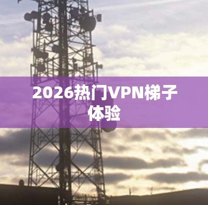 2026热门VPN梯子体验